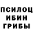 Псилоцибиновые грибы прущие грибы Oksy Y.
